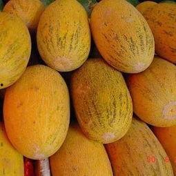 夏天吃哈密瓜开心,甜蜜开怀的夏日美味