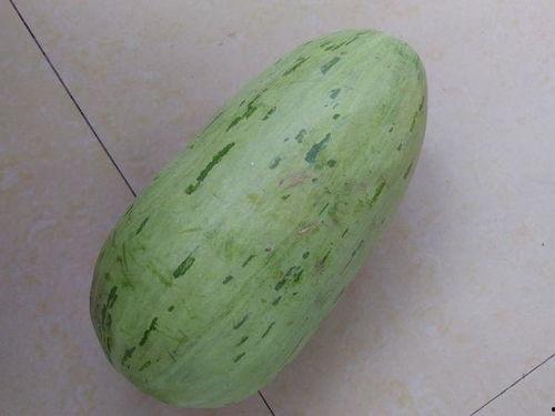 啃着吃的玉瓜图片,品味自然甘甜